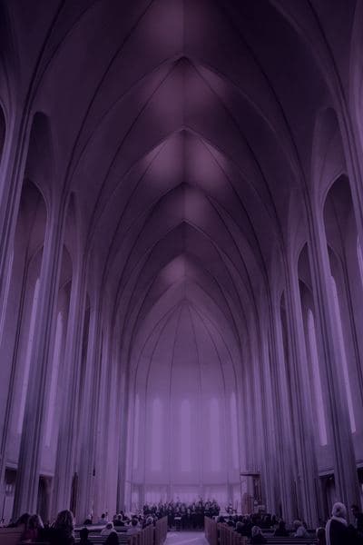 The Last Contract