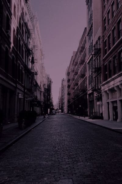 Sunset Nights